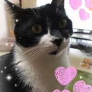 ヒメ日記 2024/12/10 09:49 投稿 野乃花 人妻の出会い