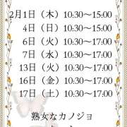 ヒメ日記 2024/02/01 00:27 投稿 りょう 熟女なカノジョ