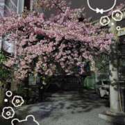 ヒメ日記 2025/03/13 22:22 投稿 くみ 熟女デリヘル倶楽部