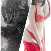 ヒメ日記 2025/04/03 16:37 投稿 くみ 熟女デリヘル倶楽部