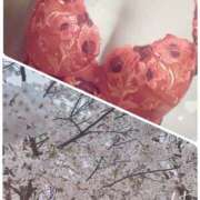 ヒメ日記 2025/04/06 15:16 投稿 くみ 熟女デリヘル倶楽部