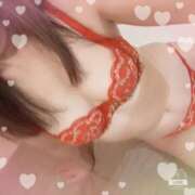 ヒメ日記 2025/04/11 15:27 投稿 くみ 熟女デリヘル倶楽部