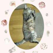 ヒメ日記 2025/08/16 18:08 投稿 くみ 熟女デリヘル倶楽部