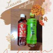 ヒメ日記 2025/10/14 19:49 投稿 くみ 熟女デリヘル倶楽部