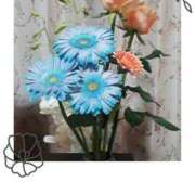 ヒメ日記 2025/11/24 17:55 投稿 くみ 熟女デリヘル倶楽部