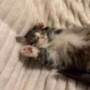 ヒメ日記 2025/02/07 23:19 投稿 ひなこ マリン千葉店