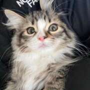 ヒメ日記 2025/04/07 23:58 投稿 ひなこ マリン千葉店