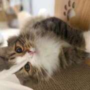 ヒメ日記 2025/10/19 23:51 投稿 ひなこ マリン千葉店