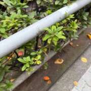 ヒメ日記 2025/12/03 15:37 投稿 星野みお 五反田ウルトラファンタジー