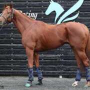 ヒメ日記 2025/12/28 14:47 投稿 星野みお 五反田ウルトラファンタジー