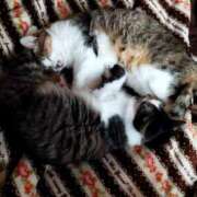 ヒメ日記 2024/12/14 14:02 投稿 しずえ 熟女の風俗最終章 高崎店