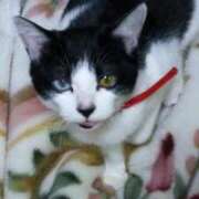 ヒメ日記 2025/03/24 19:48 投稿 しずえ 熟女の風俗最終章 高崎店