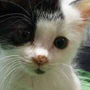 ヒメ日記 2025/03/27 21:45 投稿 しずえ 熟女の風俗最終章 高崎店