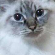 ヒメ日記 2025/03/28 17:08 投稿 しずえ 熟女の風俗最終章 高崎店