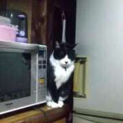 ヒメ日記 2025/03/30 16:03 投稿 しずえ 熟女の風俗最終章 高崎店