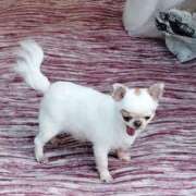 ヒメ日記 2025/05/20 12:16 投稿 しずえ 熟女の風俗最終章 高崎店