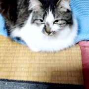 ヒメ日記 2025/05/23 23:28 投稿 しずえ 熟女の風俗最終章 高崎店