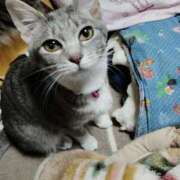 ヒメ日記 2025/05/27 21:32 投稿 しずえ 熟女の風俗最終章 高崎店