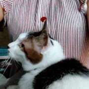 ヒメ日記 2025/05/28 10:10 投稿 しずえ 熟女の風俗最終章 高崎店