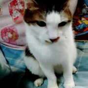 ヒメ日記 2025/05/30 14:48 投稿 しずえ 熟女の風俗最終章 高崎店