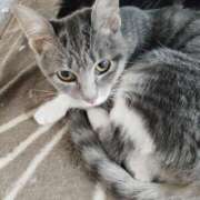 ヒメ日記 2025/05/31 12:59 投稿 しずえ 熟女の風俗最終章 高崎店