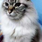 ヒメ日記 2025/06/07 00:12 投稿 しずえ 熟女の風俗最終章 高崎店