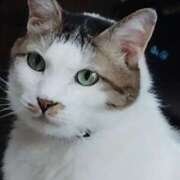 ヒメ日記 2025/06/07 20:48 投稿 しずえ 熟女の風俗最終章 高崎店