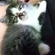 ヒメ日記 2025/07/21 01:18 投稿 しずえ 熟女の風俗最終章 高崎店