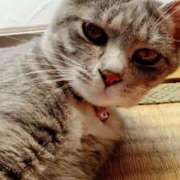 ヒメ日記 2025/07/24 10:39 投稿 しずえ 熟女の風俗最終章 高崎店