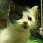 ヒメ日記 2025/07/28 17:38 投稿 しずえ 熟女の風俗最終章 高崎店