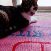 ヒメ日記 2025/07/31 12:10 投稿 しずえ 熟女の風俗最終章 高崎店