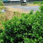 ヒメ日記 2025/08/10 09:18 投稿 しずえ 熟女の風俗最終章 高崎店