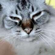 ヒメ日記 2025/08/13 09:18 投稿 しずえ 熟女の風俗最終章 高崎店