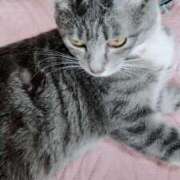 ヒメ日記 2025/08/18 10:48 投稿 しずえ 熟女の風俗最終章 高崎店