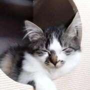 ヒメ日記 2025/08/30 02:48 投稿 しずえ 熟女の風俗最終章 高崎店