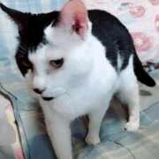 ヒメ日記 2025/09/06 15:28 投稿 しずえ 熟女の風俗最終章 高崎店