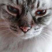 ヒメ日記 2025/09/10 13:58 投稿 しずえ 熟女の風俗最終章 高崎店