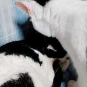 ヒメ日記 2025/09/10 18:48 投稿 しずえ 熟女の風俗最終章 高崎店