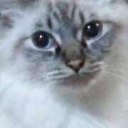 ヒメ日記 2025/09/13 01:58 投稿 しずえ 熟女の風俗最終章 高崎店