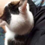 ヒメ日記 2025/09/14 16:04 投稿 しずえ 熟女の風俗最終章 高崎店