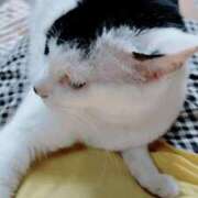 ヒメ日記 2025/09/19 12:10 投稿 しずえ 熟女の風俗最終章 高崎店