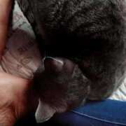 ヒメ日記 2025/10/11 13:08 投稿 しずえ 熟女の風俗最終章 高崎店