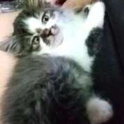 ヒメ日記 2026/01/22 14:28 投稿 しずえ 熟女の風俗最終章 高崎店