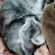 ヒメ日記 2026/03/26 16:28 投稿 しずえ 熟女の風俗最終章 高崎店