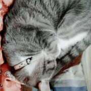 ヒメ日記 2026/04/03 12:29 投稿 しずえ 熟女の風俗最終章 高崎店