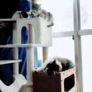 しずえ 今日14時出勤… 熟女の風俗最終章 高崎店