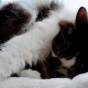 ヒメ日記 2026/04/18 10:48 投稿 しずえ 熟女の風俗最終章 高崎店