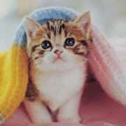 ヒメ日記 2025/01/08 10:10 投稿 らん♡濃厚度120％ ラヴァーズ