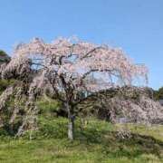 ヒメ日記 2025/03/29 10:08 投稿 らん♡濃厚度120％ ラヴァーズ