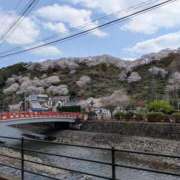 ヒメ日記 2025/04/09 10:03 投稿 らん♡濃厚度120％ ラヴァーズ